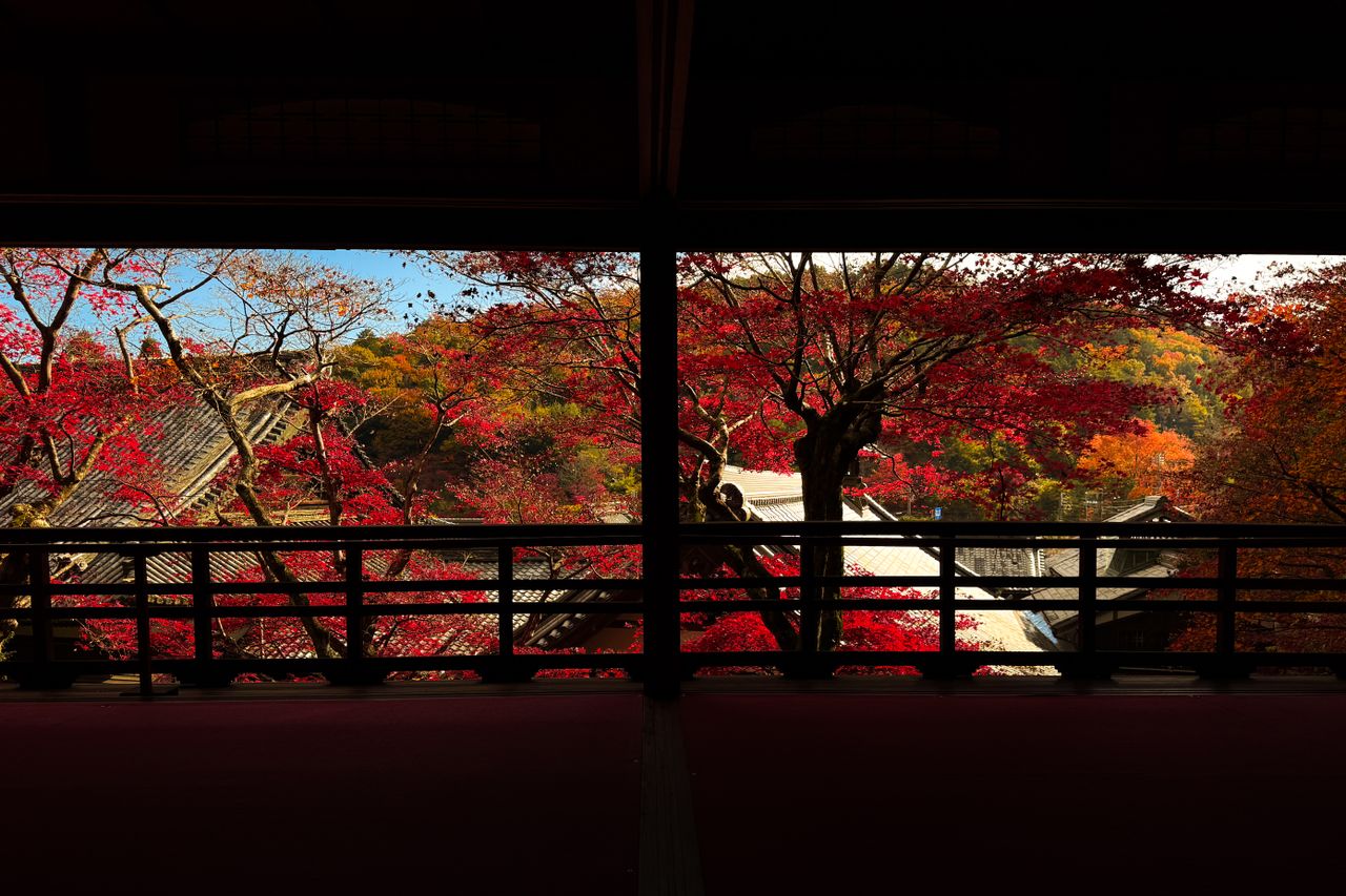 Kyoto Temples and Tea